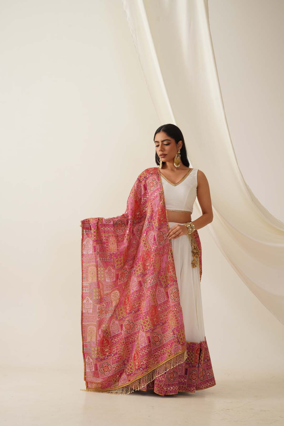 Chinnon Zari Embroidred Dupatta