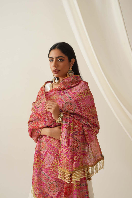 Chinnon Zari Embroidred Dupatta